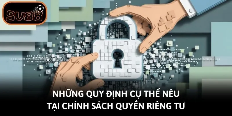 Những quy định cụ thể nêu tại chính sách quyền riêng tư