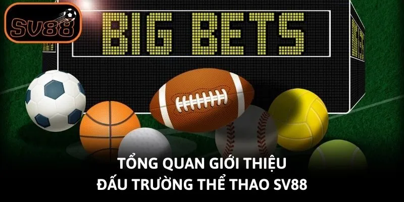 Tổng quan giới thiệu đấu trường thể thao SV88